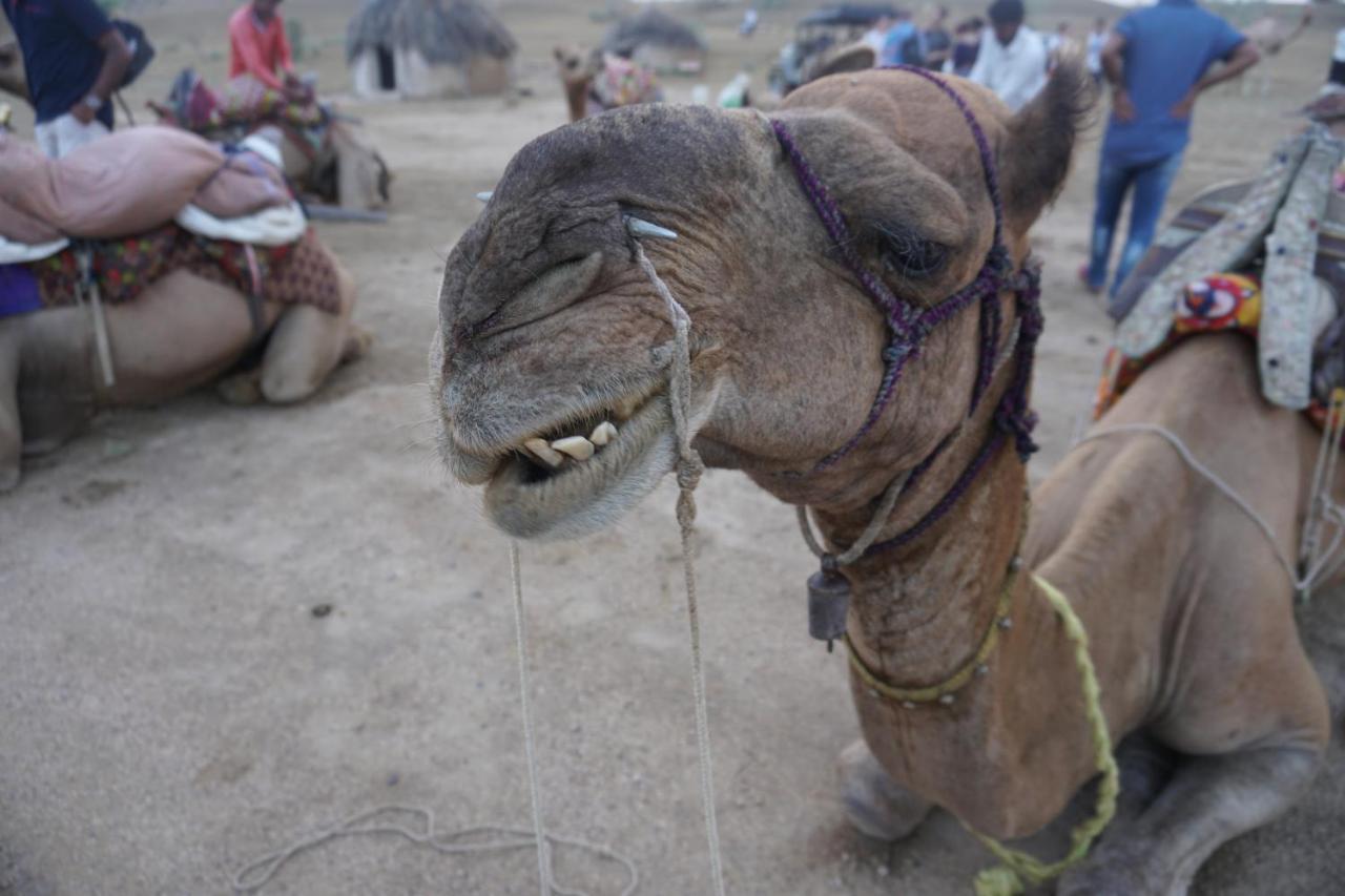Journey Desert Camp ג'איסלמר מראה חיצוני תמונה